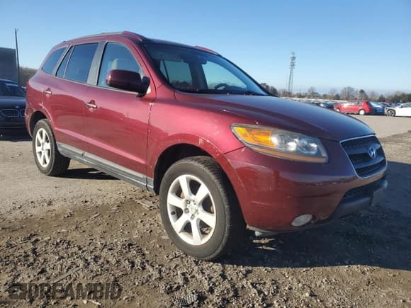 ✅ 2009 Hyundai Santa Fe SE • VIN: 5NMSH13E89H313986 • Lot: 86822334. Listed on Copart with 185,894 mi. Free auction sales archive from the USA and detailed vehicle history report at DreamBid. Image 4.