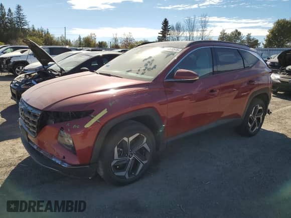 2022 Hyundai Tucson Luxury с VIN KM8JCCA14NU044244, выставлен на аукционе Copart как лот 86451375 с пробегом 219 991 миль миль и Списание • Salvage title. История ставок и продаж доступна на DreamBid. Изображение 1.