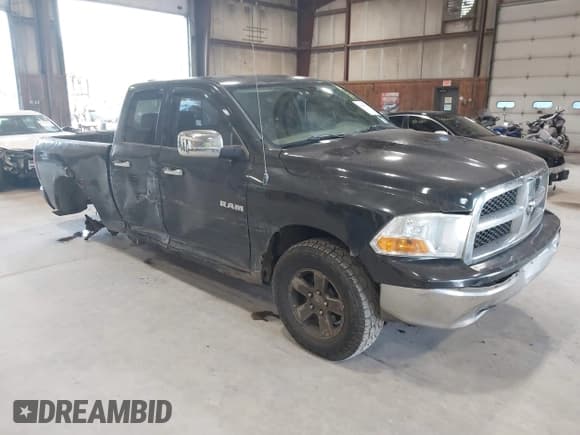 ✅ 2010 Dodge 1500 ST • VIN: 1D7RV1GP5AS219355 • Lot: 42849108. Wystawiony na IAAI z przebiegiem 235 215 mil. Bezpłatny archiwum sprzedaży aukcyjnych z USA i szczegółowy raport historii pojazdu na DreamBid. Zdjęcie 1.