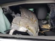 ✅ 2016 Chevrolet Impala LT • VIN: 2G1115S34G9124108 • Лот: 79271884. Опубликован ранее на Copart с пробегом Не указан. Бесплатный доступ к архиву аукционных продаж из США и подробный отчёт об истории автомобиля на DreamBid. Изображение 10.