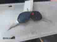 2014 Mitsubishi Outlander ES с VIN 4A4AP3AU8EE022821, выставлен на аукционе IAAI как лот 43110259 с пробегом 107 435 миль миль и . История ставок и продаж доступна на DreamBid. Изображение 11.