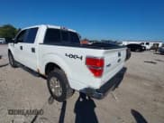 ✅ 2011 Ford F-150 XL • VIN: 1FTFW1EF2BFB22600 • Lot: 43456399. Listed on IAAI with 217,299 mi. Free auction sales archive from the USA and detailed vehicle history report at DreamBid. Image 3.