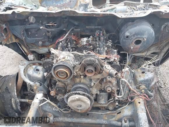 ✅ 2010 Dodge 1500 SLT • VIN: 1D7RV1GP8AS187016 • Lot: 43173638. Listed on IAAI with Not provided. Free auction sales archive from the USA and detailed vehicle history report at DreamBid. Image 11.