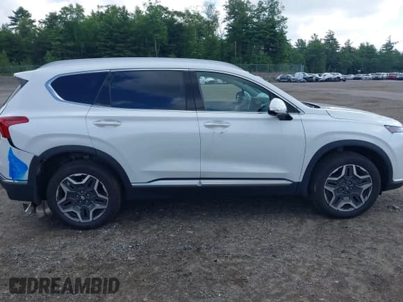 ✅ 2022 Hyundai Santa Fe Limited • VIN: 5NMS4DAL5NH399802 • Lot: 42845711. Wystawiony na IAAI z przebiegiem 57 391 mil. Bezpłatny archiwum sprzedaży aukcyjnych z USA i szczegółowy raport historii pojazdu na DreamBid. Zdjęcie 14.