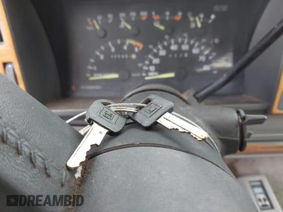 ✅ 1993 Chevrolet Silverado 1500 • VIN: 2GCEK19K4P1167213 • Lot: 43501191. Wystawiony na IAAI z przebiegiem 305 861 mil. Bezpłatny archiwum sprzedaży aukcyjnych z USA i szczegółowy raport historii pojazdu na DreamBid. Zdjęcie 11.