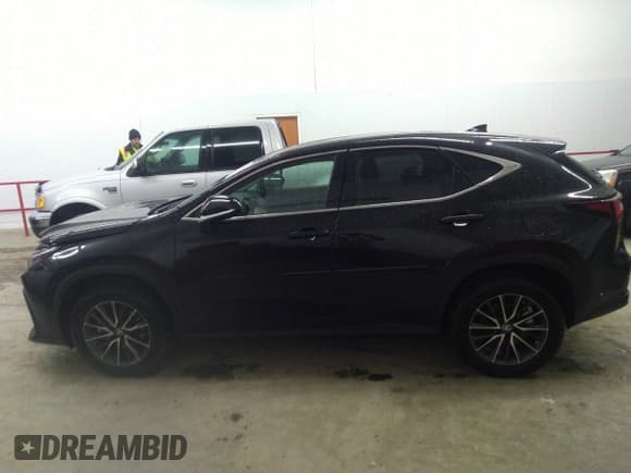 ✅ 2024 Lexus NX 350h • VIN: 2T2AKCEZ0RC018276 • Lot: 41717861. Wystawiony na IAAI z przebiegiem 32 536 mil. Bezpłatny archiwum sprzedaży aukcyjnych z USA i szczegółowy raport historii pojazdu na DreamBid. Zdjęcie 14.