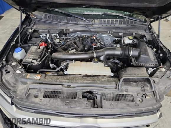 ✅ 2024 Ford Expedition XLT • VIN: 1FMJU1H85REA20037 • Lot: 89886315. Wystawiony na Copart z przebiegiem 56 471 mil. Bezpłatny archiwum sprzedaży aukcyjnych z USA i szczegółowy raport historii pojazdu na DreamBid. Zdjęcie 12.