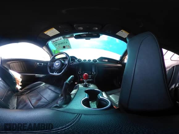 2015 Ford Mustang GT с VIN 1FA6P8CF4F5310108, выставлен на аукционе IAAI как лот 43285870 с пробегом 66 019 миль миль и . История ставок и продаж доступна на DreamBid. Изображение 21.