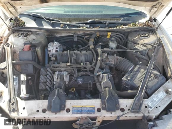 ✅ 2004 Buick Regal LS • VIN: 2G4WB52K741356449 • Лот: 90818475. Опубликован ранее на Copart с пробегом Не указан. Бесплатный доступ к архиву аукционных продаж из США и подробный отчёт об истории автомобиля на DreamBid. Изображение 11.