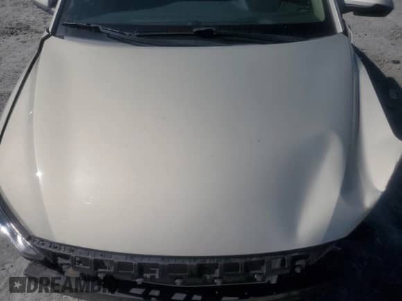 2017 Hyundai Elantra Value Edition with VIN 5NPD84LF4HH171687, listed as a Copart auction lot 83950815 with 60,314 mi miles and Salvage title. Bid and sale history available at DreamBid. Image 11.