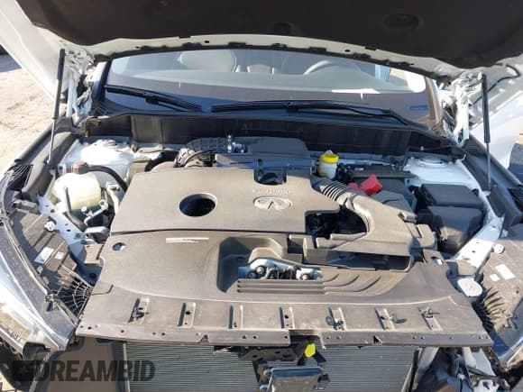 ✅ 2024 Infiniti QX50 Pure • VIN: 3PCAJ5AB4RF114693 • Lot: 42342843. Wystawiony na IAAI z przebiegiem 3 795 mil. Bezpłatny archiwum sprzedaży aukcyjnych z USA i szczegółowy raport historii pojazdu na DreamBid. Zdjęcie 10.