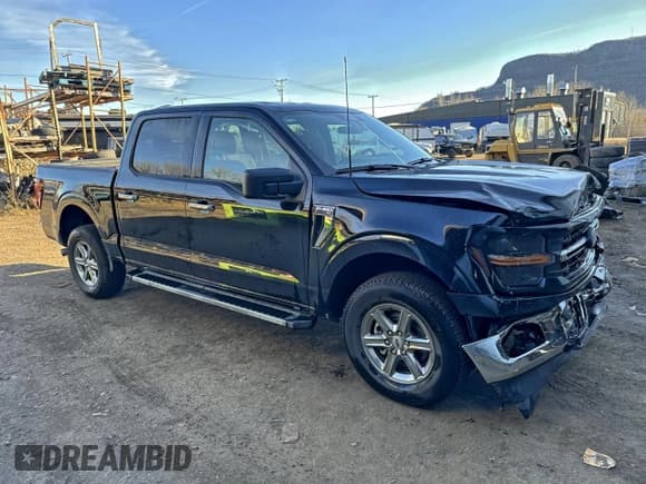 ✅ 2025 Ford F-150 XLT • VIN: 1FTFW3L87SKE61909 • Lot: 94316815. Wystawiony na Copart z przebiegiem 9 854 mil. Bezpłatny archiwum sprzedaży aukcyjnych z USA i szczegółowy raport historii pojazdu na DreamBid. Zdjęcie 2.
