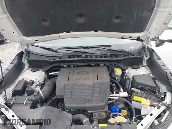 ✅ 2024 Subaru Forester Special Sports • VIN: JF2SKAGC5RH450381 • Lot: 43377053. Wystawiony na IAAI z przebiegiem 35 302 mil. Bezpłatny archiwum sprzedaży aukcyjnych z USA i szczegółowy raport historii pojazdu na DreamBid. Zdjęcie 10.