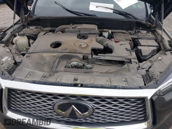 ✅ 2019 Infiniti QX50 Essential • VIN: 3PCAJ5M32KF147444 • Лот: 41965702. Опубликован ранее на IAAI с пробегом 69 358 миль. Бесплатный доступ к архиву аукционных продаж из США и подробный отчёт об истории автомобиля на DreamBid. Изображение 10.