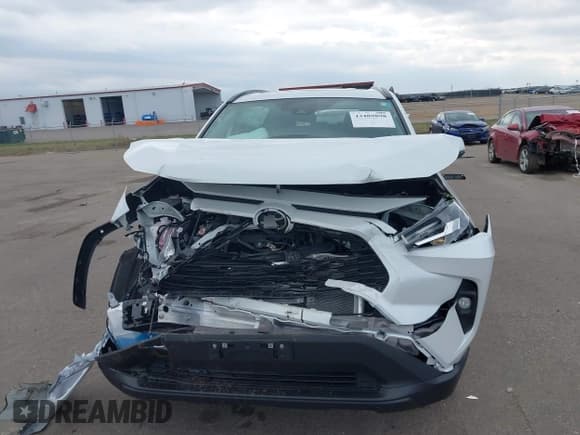 ✅ 2025 Toyota RAV4 XLE Premium • VIN: 2T3A1RFV8SW513729 • Lot: 43489898. Listed on IAAI with 7,000 mi. Free auction sales archive from the USA and detailed vehicle history report at DreamBid. Image 12.