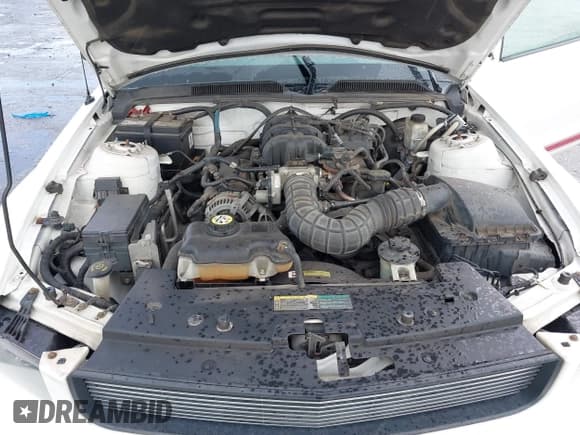 ✅ 2009 Ford Mustang • VIN: 1ZVHT84N395102713 • Lot: 43256231. Wystawiony na IAAI z przebiegiem 168 241 mil. Bezpłatny archiwum sprzedaży aukcyjnych z USA i szczegółowy raport historii pojazdu na DreamBid. Zdjęcie 10.