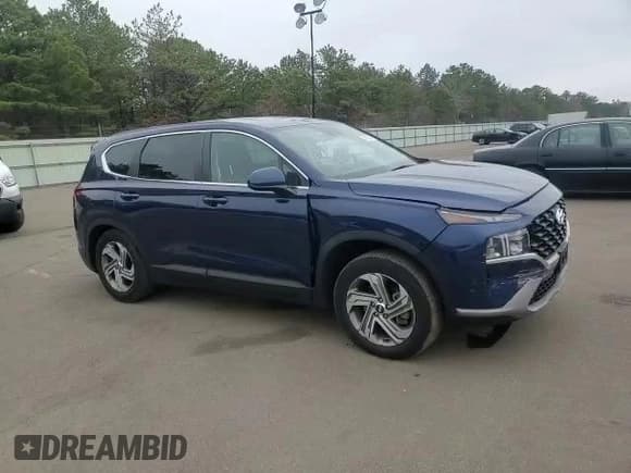 ✅ 2021 Hyundai Santa Fe SE • VIN: 5NMS1DAJ1MH355043 • Lot: 41982143. Listed on Copart with 25,338 mi. Free auction sales archive from the USA and detailed vehicle history report at DreamBid. Image 12.