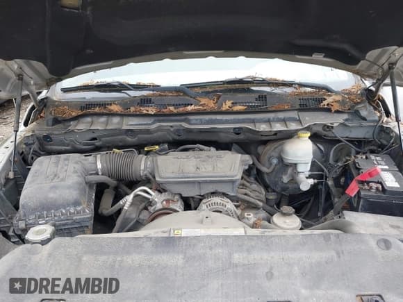 ✅ 2009 Dodge 1500 SLT • VIN: 1D3HB16PX9J509180 • Lot: 42381574. Wystawiony na IAAI z przebiegiem 107 651 mil. Bezpłatny archiwum sprzedaży aukcyjnych z USA i szczegółowy raport historii pojazdu na DreamBid. Zdjęcie 10.