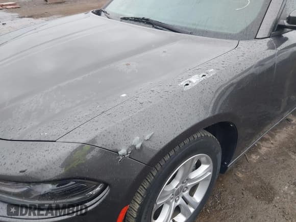 ✅ 2019 Dodge Charger SXT • VIN: 2C3CDXBG4KH724667 • Лот: 43712278. Опубликован ранее на IAAI с пробегом 131 327 миль. Бесплатный доступ к архиву аукционных продаж из США и подробный отчёт об истории автомобиля на DreamBid. Изображение 17.