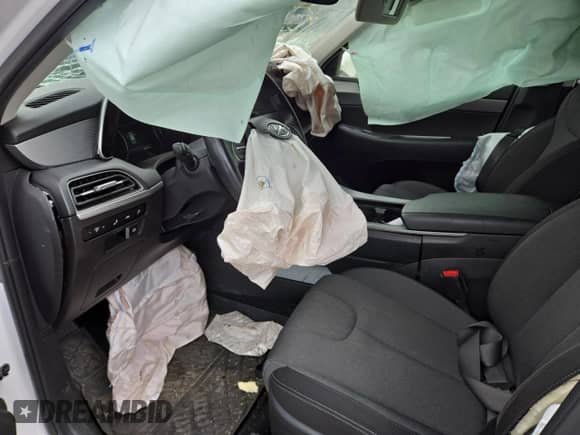 ✅ 2021 Hyundai Palisade SEL • VIN: KM8R3DHE2MU283386 • Lot: 84896555. Listed on Copart with 104,222 mi. Free auction sales archive from the USA and detailed vehicle history report at DreamBid. Image 7.