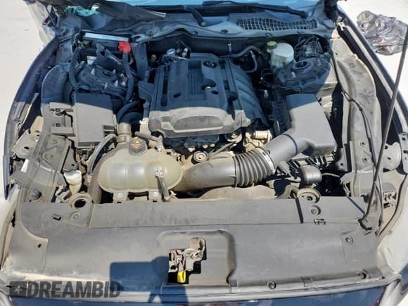 ✅ 2016 Ford Mustang EcoBoost • VIN: 1FA6P8TH9G5332852 • Lot: 67837015. Listed on Copart with 119,285 mi. Free auction sales archive from the USA and detailed vehicle history report at DreamBid. Image 11.