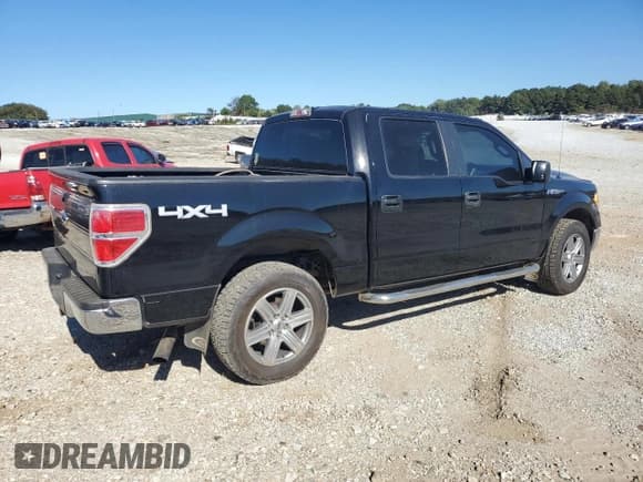 ✅ 2009 Ford F-150 XL • VIN: 1FTPW14V09FA67667 • Лот: 86486395. Опубликован ранее на Copart с пробегом 252 505 миль. Бесплатный доступ к архиву аукционных продаж из США и подробный отчёт об истории автомобиля на DreamBid. Изображение 3.