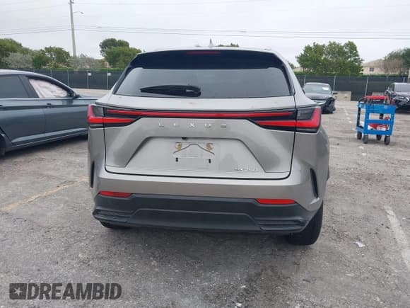 ✅ 2024 Lexus NX 250 • VIN: 2T2ADCAZ2RC014553 • Лот: 41383564. Опубликован ранее на IAAI с пробегом 8 403 миль. Бесплатный доступ к архиву аукционных продаж из США и подробный отчёт об истории автомобиля на DreamBid. Изображение 15.