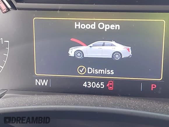 ✅ 2021 Cadillac CT4 Sport • VIN: 1G6DC5RK5M0134988 • Lot: 42000211. Wystawiony na IAAI z przebiegiem 43 065 mil. Bezpłatny archiwum sprzedaży aukcyjnych z USA i szczegółowy raport historii pojazdu na DreamBid. Zdjęcie 16.