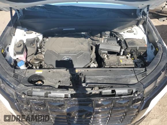 ✅ 2024 Hyundai Palisade Calligraphy • VIN: KM8R7DGE4RU761823 • Лот: 75201204. Опубликован ранее на Copart с пробегом Не указан. Бесплатный доступ к архиву аукционных продаж из США и подробный отчёт об истории автомобиля на DreamBid. Изображение 13.