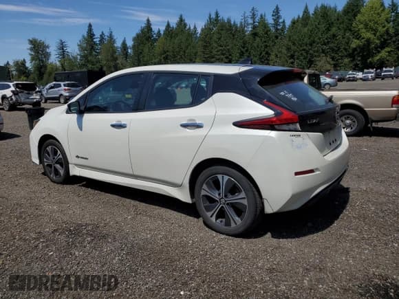 ✅ 2019 Nissan LEAF SV Plus • VIN: 1N4BZ1CP2KC319825 • Lot: 66548265. Listed on Copart with 27,730 mi. Free auction sales archive from the USA and detailed vehicle history report at DreamBid. Image 2.