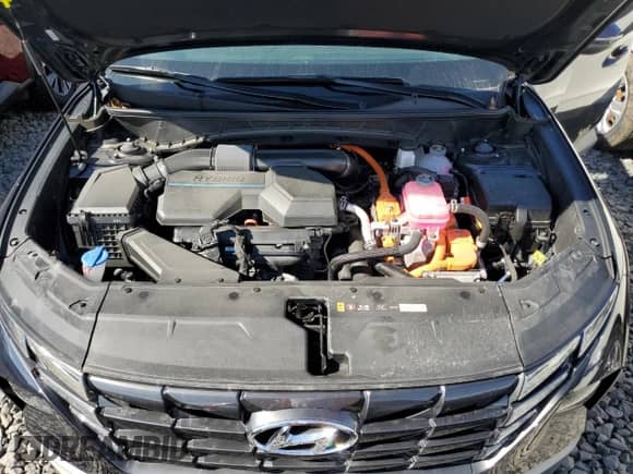 2024 Hyundai Tucson SEL Convenience z VIN KM8JCCD19RU238687, wystawiony jako Copart lot #83862185 z przebiegiem 8 840 mil mil oraz Szkoda całkowita • Salvage title. Historia ofert i sprzedaży dostępna na DreamBid. Obrazek 12.