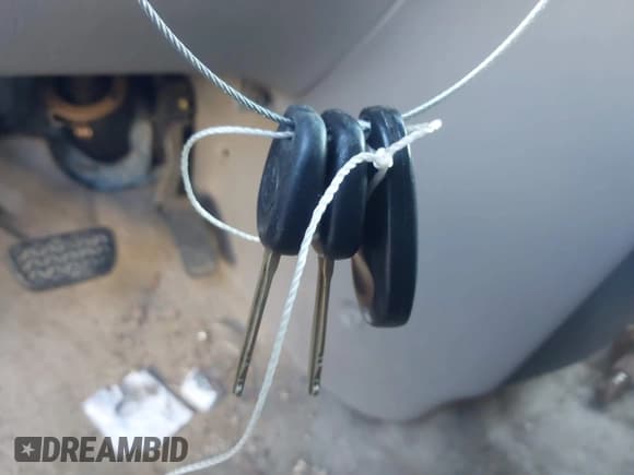 ✅ 2005 Toyota Sienna LE • VIN: 5TDBA23C45S039363 • Lot: 43865911. Listed on IAAI with 219,700 mi. Free auction sales archive from the USA and detailed vehicle history report at DreamBid. Image 11.