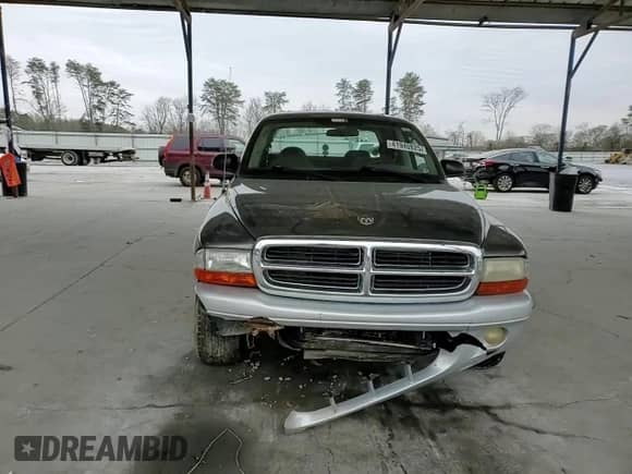 2002 Dodge Dakota SLT z VIN 1B7HL48X32S708723, wystawiony jako Copart lot #41940825 z przebiegiem 112 145 mil mil oraz Szkoda całkowita • Salvage title. Historia ofert i sprzedaży dostępna na DreamBid. Obrazek 11.