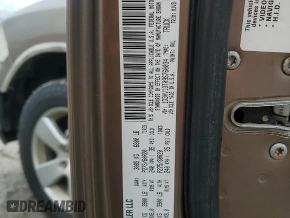 ✅ 2009 Dodge 1500 SLT • VIN: 1D3HV13T09S760034 • Lot: 56742665. Wystawiony na Copart z przebiegiem 201 544 mil. Bezpłatny archiwum sprzedaży aukcyjnych z USA i szczegółowy raport historii pojazdu na DreamBid. Zdjęcie 12.