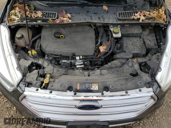 ✅ 2017 Ford Escape SE • VIN: 1FMCU0GD8HUE87443 • Lot: 86896555. Listed on Copart with 79,770 mi. Free auction sales archive from the USA and detailed vehicle history report at DreamBid. Image 12.