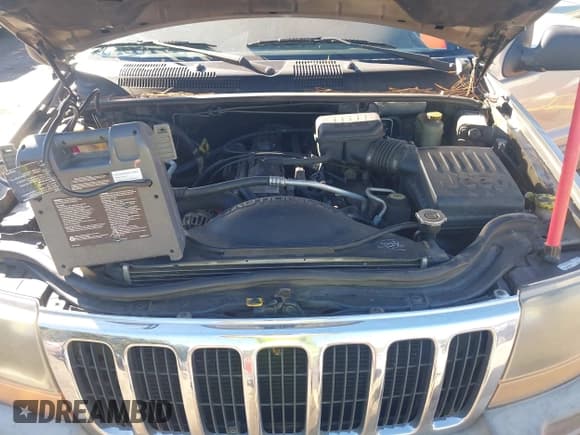 ✅ 2000 Jeep Grand Cherokee Laredo • VIN: 1J4G248S2YC134213 • Lot: 43456750. Listed on IAAI with 242,776 mi. Free auction sales archive from the USA and detailed vehicle history report at DreamBid. Image 10.