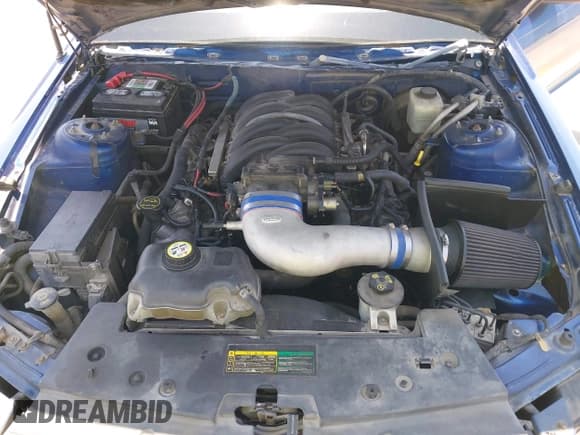 ✅ 2007 Ford Mustang GT Deluxe • VIN: 1ZVHT82H575243065 • Lot: 42467593. Wystawiony na IAAI z przebiegiem 316 877 mil. Bezpłatny archiwum sprzedaży aukcyjnych z USA i szczegółowy raport historii pojazdu na DreamBid. Zdjęcie 10.