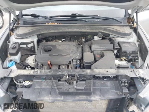 ✅ 2020 Hyundai Santa Fe Limited • VIN: 5NMS53AD6LH286356 • Lot: 42633381. Wystawiony na IAAI z przebiegiem 70 929 mil. Bezpłatny archiwum sprzedaży aukcyjnych z USA i szczegółowy raport historii pojazdu na DreamBid. Zdjęcie 10.