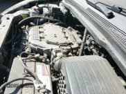 ✅ 2005 Honda Odyssey EX-L • VIN: 5FNRL38655B416417 • Lot: 43597382. Wystawiony na IAAI z przebiegiem 179 055 mil. Bezpłatny archiwum sprzedaży aukcyjnych z USA i szczegółowy raport historii pojazdu na DreamBid. Zdjęcie 12.