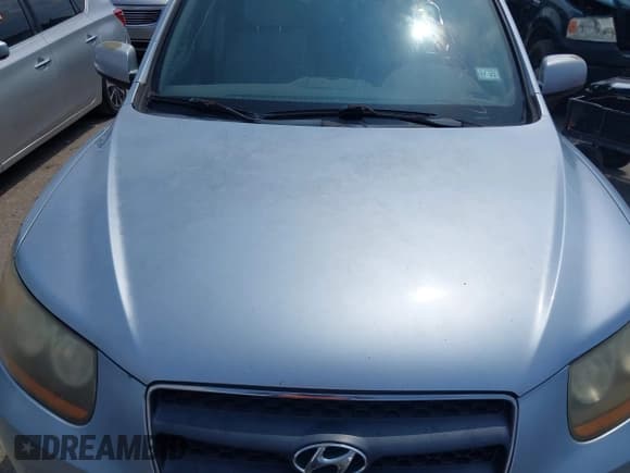 ✅ 2008 Hyundai Santa Fe SE • VIN: 5NMSH13E28H221819 • Lot: 43032250. Wystawiony na IAAI z przebiegiem 187 237 mil. Bezpłatny archiwum sprzedaży aukcyjnych z USA i szczegółowy raport historii pojazdu na DreamBid. Zdjęcie 6.