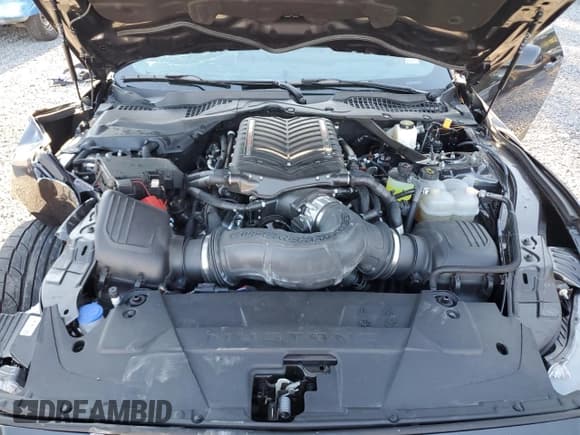 ✅ 2024 Ford Mustang GT Premium • VIN: 1FA6P8CFXR5432301 • Lot: 89659205. Listed on Copart with 22,697 mi. Free auction sales archive from the USA and detailed vehicle history report at DreamBid. Image 11.