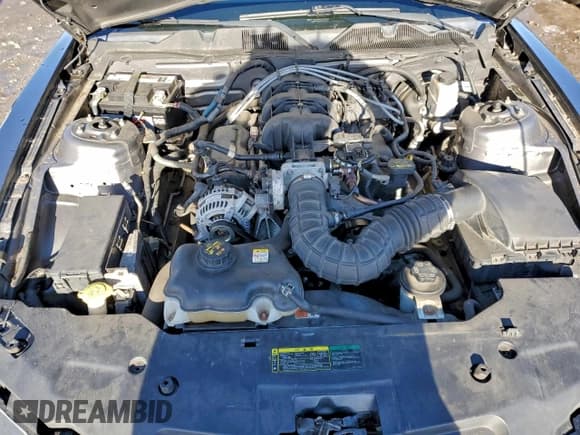 ✅ 2010 Ford Mustang V6 • VIN: 1ZVBP8EN0A5173915 • Lot: 95241225. Listed on Copart with 203,088 mi. Free auction sales archive from the USA and detailed vehicle history report at DreamBid. Image 11.