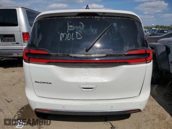 ✅ 2023 Chrysler Pacifica Touring • VIN: 2C4RC1FGXPR555773 • Lot: 65762105. Wystawiony na Copart z przebiegiem Nie podano. Bezpłatny archiwum sprzedaży aukcyjnych z USA i szczegółowy raport historii pojazdu na DreamBid. Zdjęcie 6.