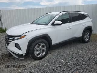✅ 2023 Hyundai Tucson SEL • VIN: 5NMJBCAE6PH217279 • Lot: 67725604. Wystawiony na Copart z przebiegiem 42 553 mil. Bezpłatny archiwum sprzedaży aukcyjnych z USA i szczegółowy raport historii pojazdu na DreamBid. Zdjęcie 1.