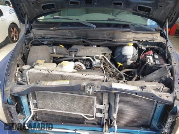 ✅ 2008 Dodge 1500 SLT • VIN: 3D7KR19D58G114597 • Лот: 43284594. Опубликован ранее на IAAI с пробегом 159 013 миль. Бесплатный доступ к архиву аукционных продаж из США и подробный отчёт об истории автомобиля на DreamBid. Изображение 10.