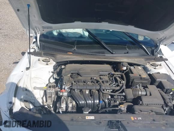 ✅ 2024 Hyundai Elantra Limited • VIN: KMHLP4DG9RU836303 • Лот: 43699266. Опубликован ранее на IAAI с пробегом 35 657 миль. Бесплатный доступ к архиву аукционных продаж из США и подробный отчёт об истории автомобиля на DreamBid. Изображение 10.