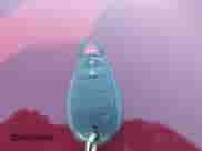 2019 Ram 1500 Tradesman with VIN 1C6RR7FG5KS646949, listed as a IAAI auction lot 43417731 with 45,787 mi miles and . Bid and sale history available at DreamBid. Image 11.