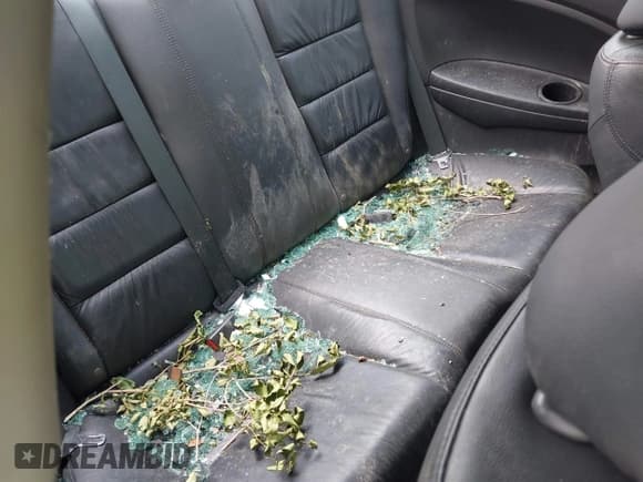 ✅ 2011 Honda Accord EX-L • VIN: 1HGCS2B87BA008276 • Lot: 42919873. Wystawiony na IAAI z przebiegiem 149 710 mil. Bezpłatny archiwum sprzedaży aukcyjnych z USA i szczegółowy raport historii pojazdu na DreamBid. Zdjęcie 8.