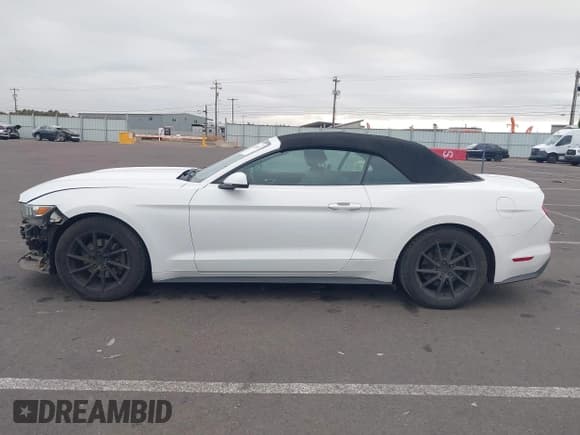 ✅ 2016 Ford Mustang EcoBoost Premium • VIN: 1FATP8UH8G5291597 • Lot: 43388116. Listed on IAAI with 169,406 mi. Free auction sales archive from the USA and detailed vehicle history report at DreamBid. Image 15.