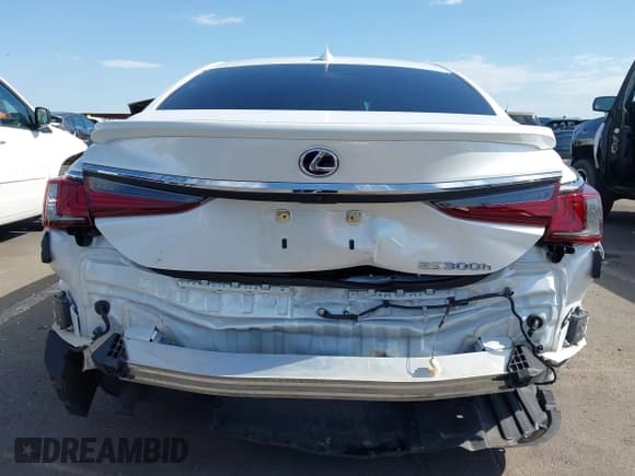 ✅ 2021 Lexus ES 300h • VIN: 58ADA1C13MU009089 • Lot: 42674472. Listed on IAAI with 31,924 mi. Free auction sales archive from the USA and detailed vehicle history report at DreamBid. Image 17.